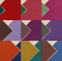 藏品(一個進入的過程〈9張〉)的圖片