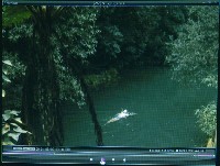 藏品(反覆、軌跡和延異)的圖片