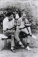 藏品(台北人之3)的圖片