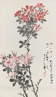藏品(杜鵑花)的圖片