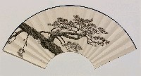 藏品(松(扇面))的圖片