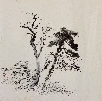 藏品(樹)的圖片