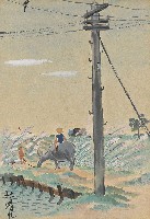 藏品(秋晴)的圖片