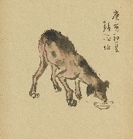 藏品(流浪狗)的圖片