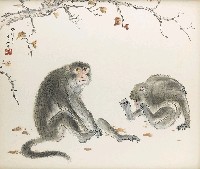 藏品(猴)的圖片