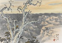 藏品(大峽谷)的圖片