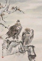 藏品(鷹)的圖片