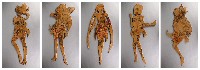 藏品(文化載體)的圖片