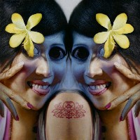 藏品(草莓族細胞分裂3)的圖片