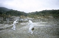 藏品(45nm)的圖片