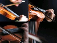 藏品(四重奏計畫)的圖片