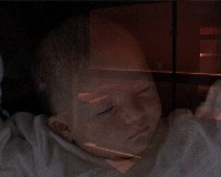 藏品(源)的圖片