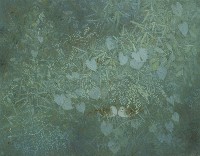 藏品(行前)的圖片