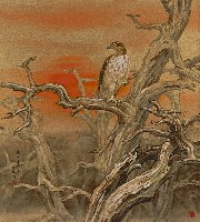 藏品(荒林)的圖片