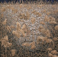 藏品(生命‧韶光)的圖片