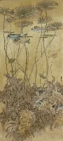 藏品(不同的視點)的圖片