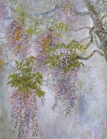 藏品(紫藤)的圖片