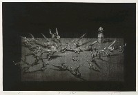 藏品(另類戰爭)的圖片