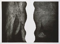 藏品(游牧式的離散生活(兩件一組) - 右                                游牧式的離散生活(兩件一組) - 左)的圖片
