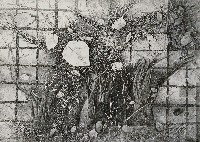 藏品(紛亂)的圖片