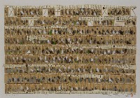 藏品(囚鳥)的圖片