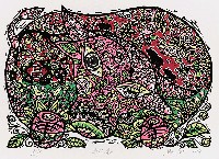 藏品(迎春)的圖片