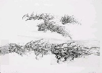 藏品(轉變8611)的圖片