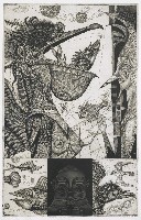 藏品(變形之十八-鵜鶦鳥小姐)的圖片