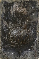 藏品(生命-恆系列)的圖片