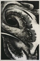 藏品(韻律)的圖片