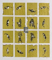 藏品(生死之間)的圖片