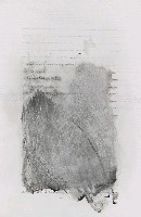 藏品(水中的瓜子)的圖片