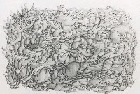 藏品(關係)的圖片