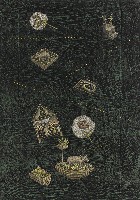 藏品(家園記憶22/2005)的圖片