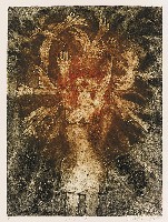 藏品(餵食)的圖片