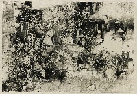 藏品(站在那裡)的圖片