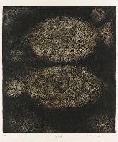 藏品(眠魚)的圖片