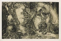 藏品(夜間的科舉)的圖片