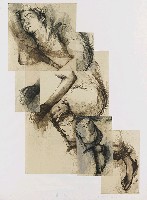 藏品(飛躍)的圖片