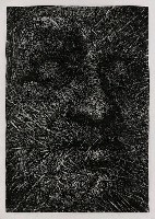 藏品(外貌-1)的圖片