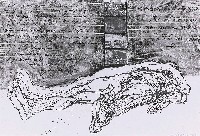 藏品(晚間新聞)的圖片