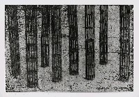 藏品(竹林(05-8))的圖片