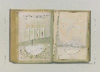 藏品(數字)的圖片