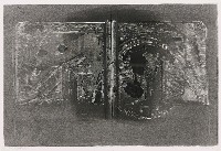 藏品(文化的鬼魅)的圖片