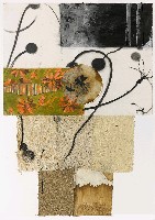 藏品(摘草尋葉)的圖片