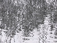 藏品(湖面上)的圖片