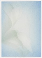 藏品(清晨)的圖片