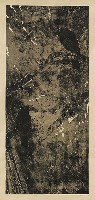 藏品(烏鴉)的圖片