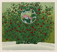 藏品(興安樾橘)的圖片