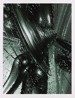 藏品(構圖 )的圖片